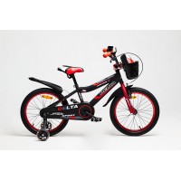 Детский велосипед Delta Sport 20 (красный, 2020)